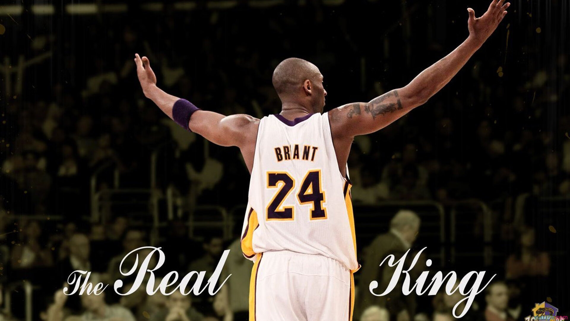 2026年亚洲室内五人制足球俱乐部杯 中超俱乐部五人制队问鼎